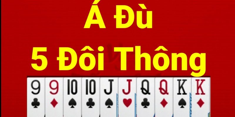 Thông tin cơ bản về 5 đôi thông chặt được gì?