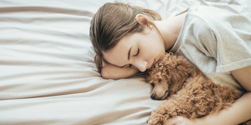 Chiêm bao là con chó con báo hiệu điều gì sắp xảy ra 