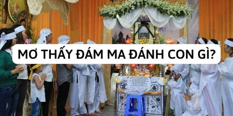 Nằm mơ thấy đám ma đánh con gì?