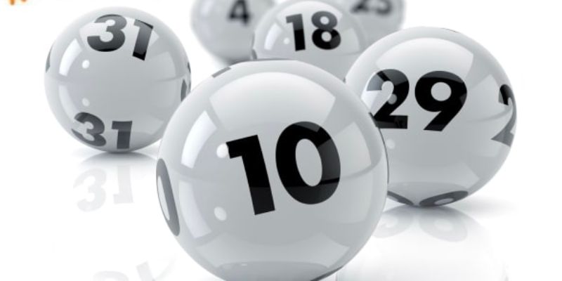 Nằm mơ thấy bị lạc đánh con gì