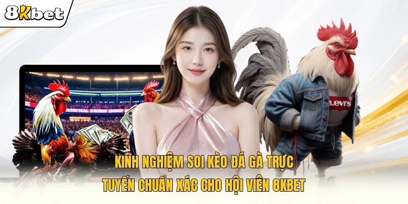 kinh nghiệm soi kèo đá gà trực tuyến chuẩn xác